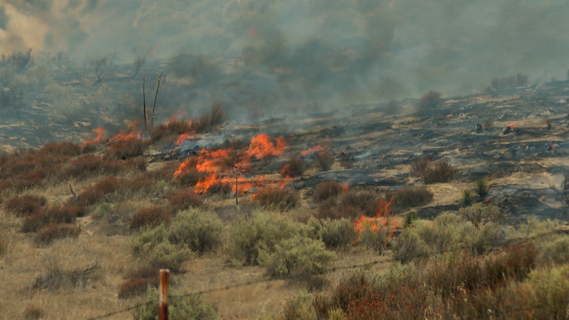 madre fire day 2.jpg