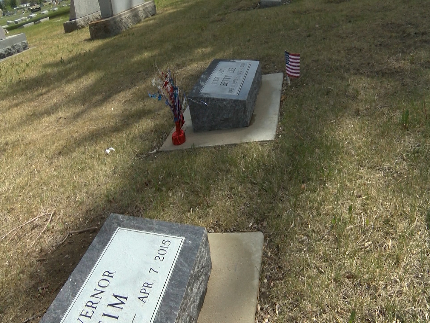 Daughters of the American Revolution remember those that have past