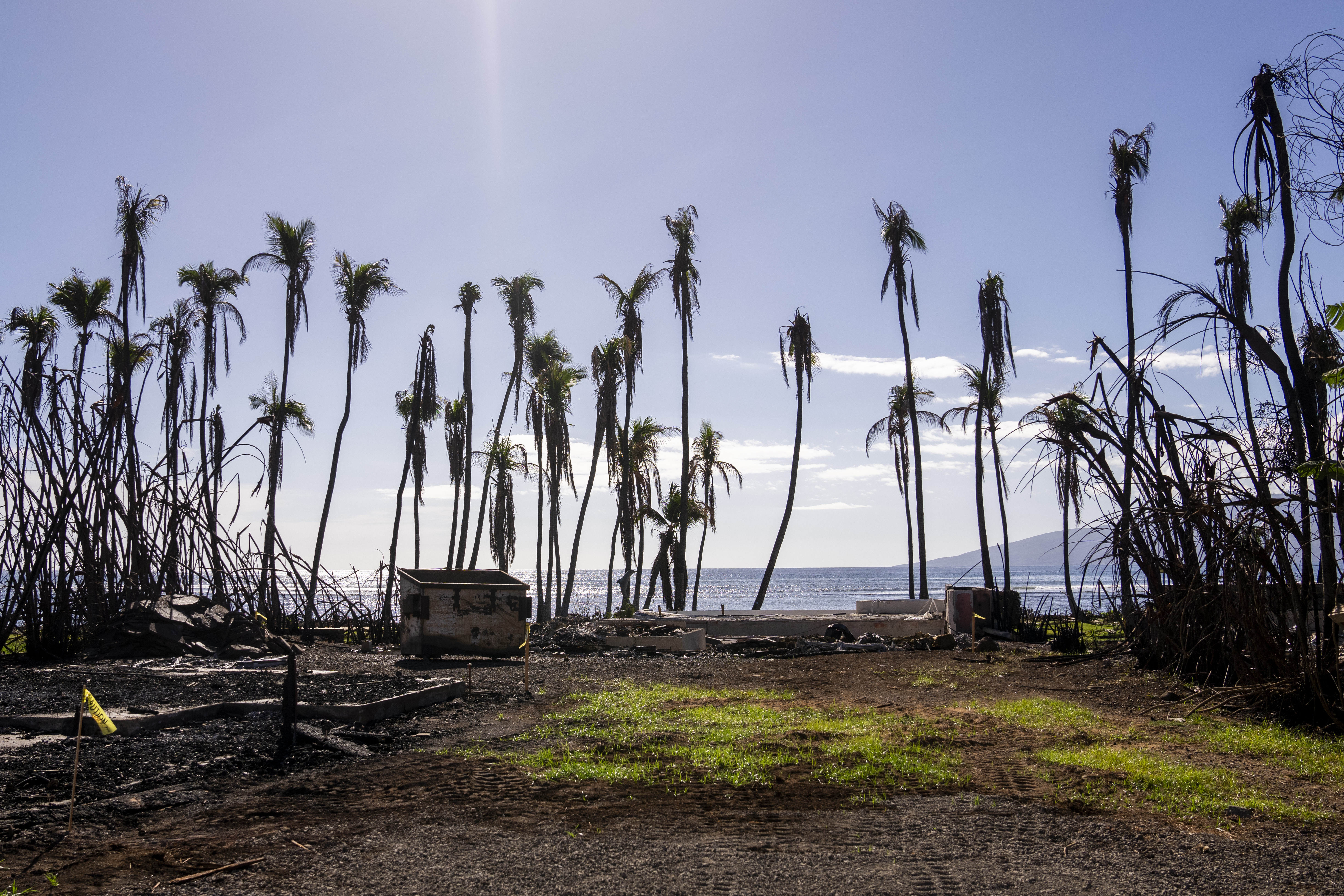 Hawaii Wildfire