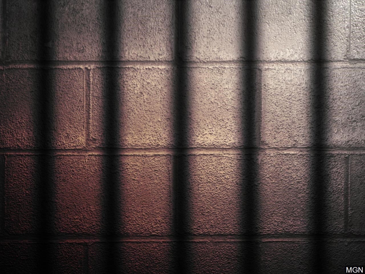 Man accused of using relief funds on Lamborghini gets prison - Vimarsana News