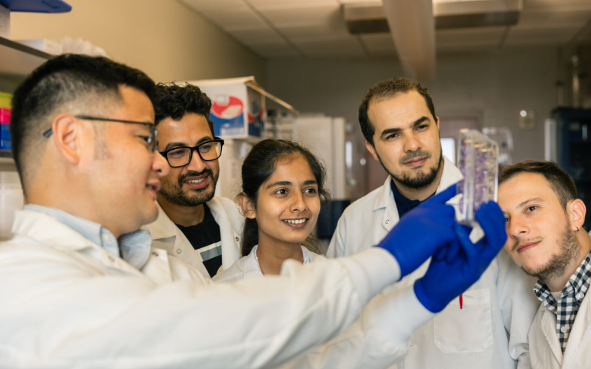 Dr. Zhilong Yang, an associate professor at Texas A&M University’s College of Veterinary Medicine and Biomedical Sciences, discusses an experiment with postdoctoral trainees Anil Pant, Lara Dsouza, Djamal Brahim Belhaouari and Santiago Navarro Forero.
