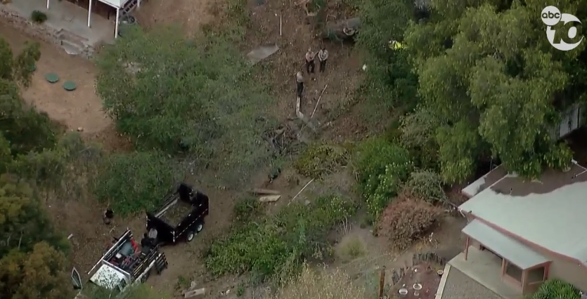 Fallen tree death in Escondido 2