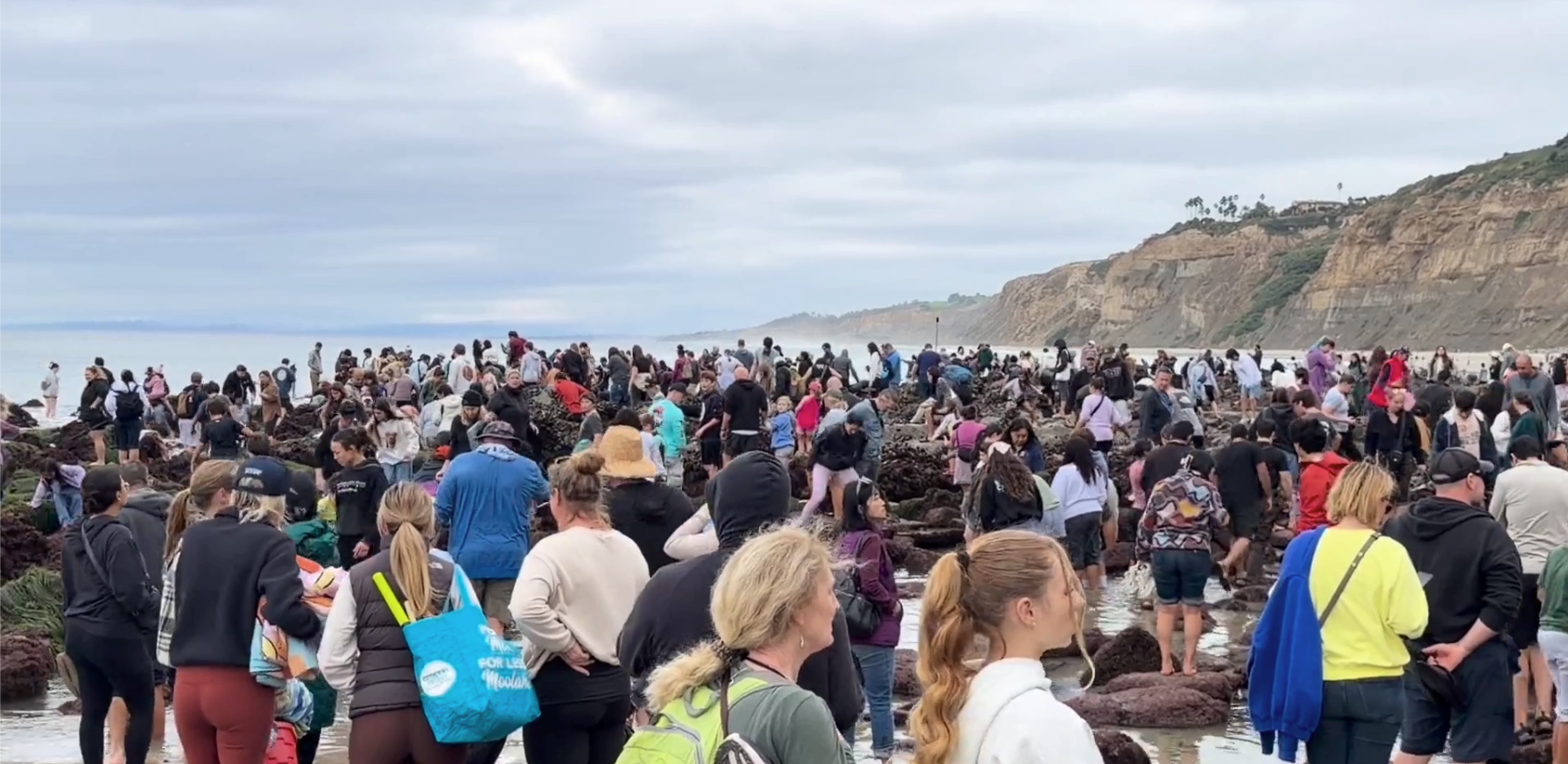 tide pools overrun in La Jolla 