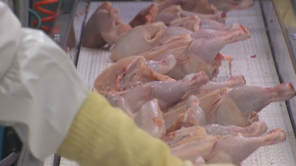 Navigating food safety regulation rollbacks