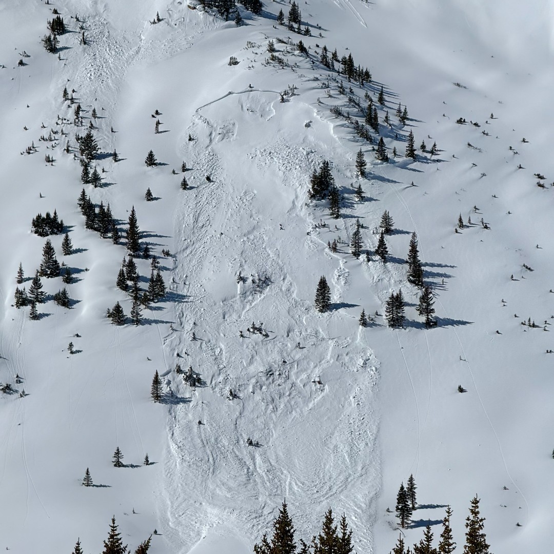 Avalanche near Independence Pass