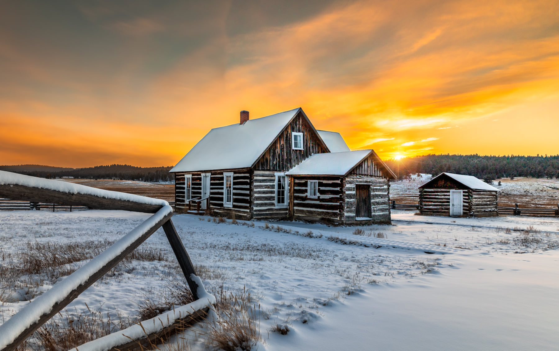 florissant june blooms photography