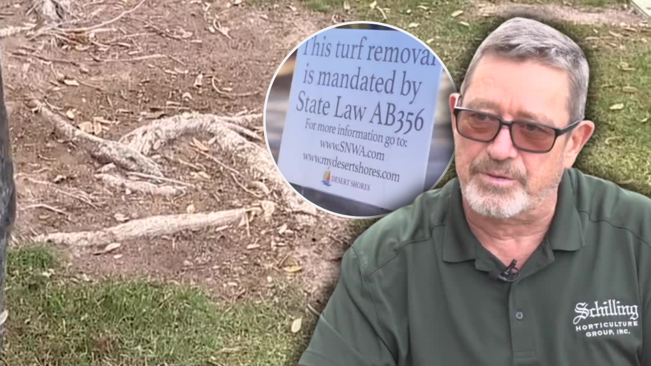 Locals talk trees, grass and water amid ongoing SNWA turf lawsuit