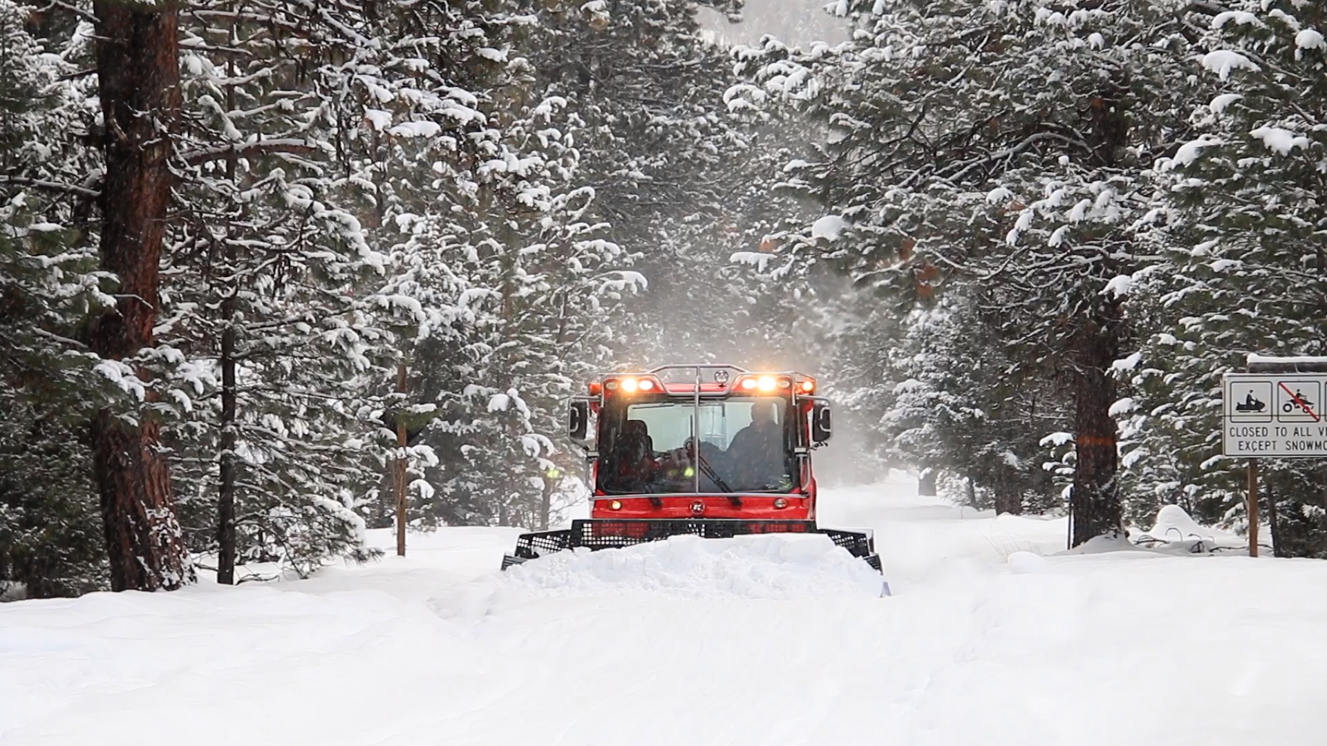 Snowgrooming1.jpg