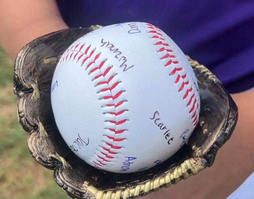 Baseball 8-6