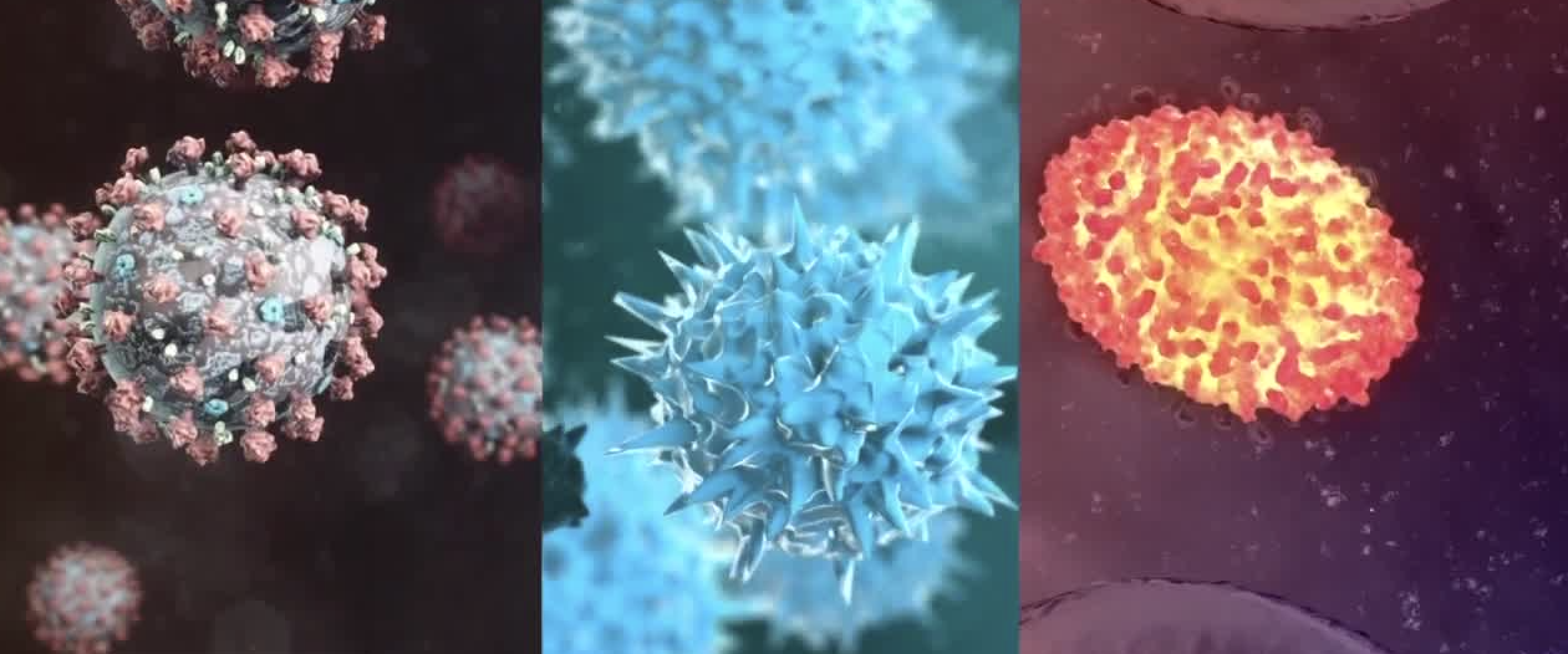 Screen Shot 2022-08-23 at 8.58.25 AM.png