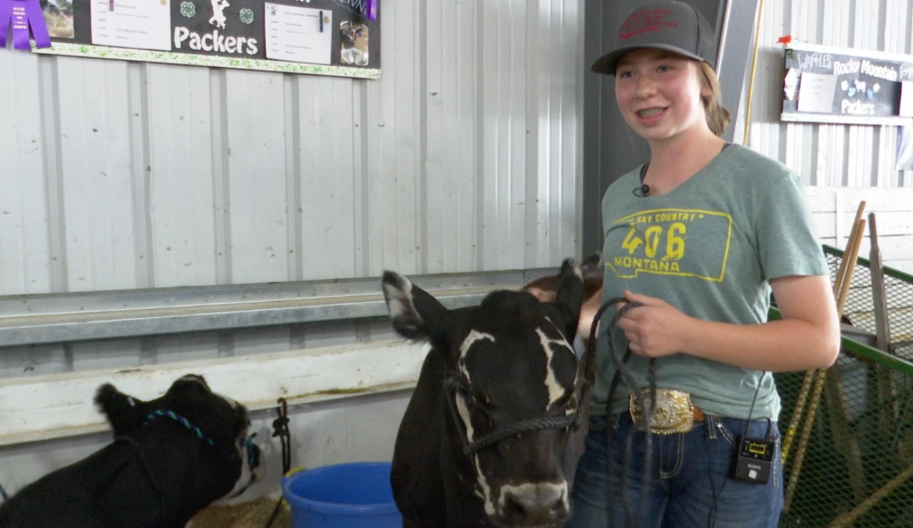 Western MT Fair 4H