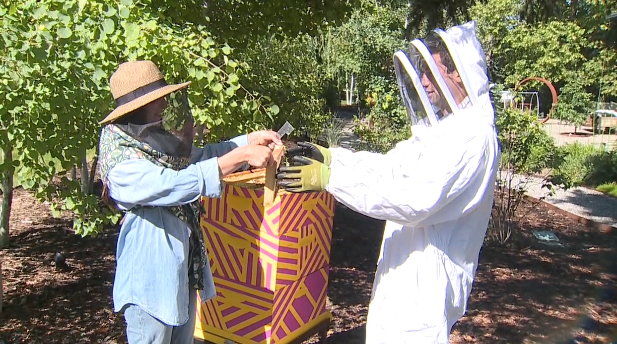 Free Range Beehive