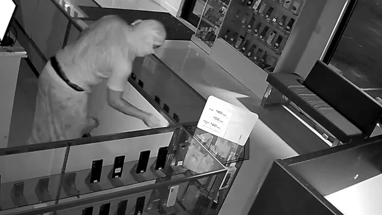 ft myers burglary suspect on camera