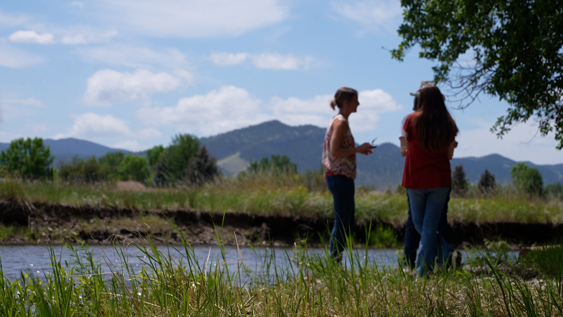 GRIEF BY THE CREEK.jpg