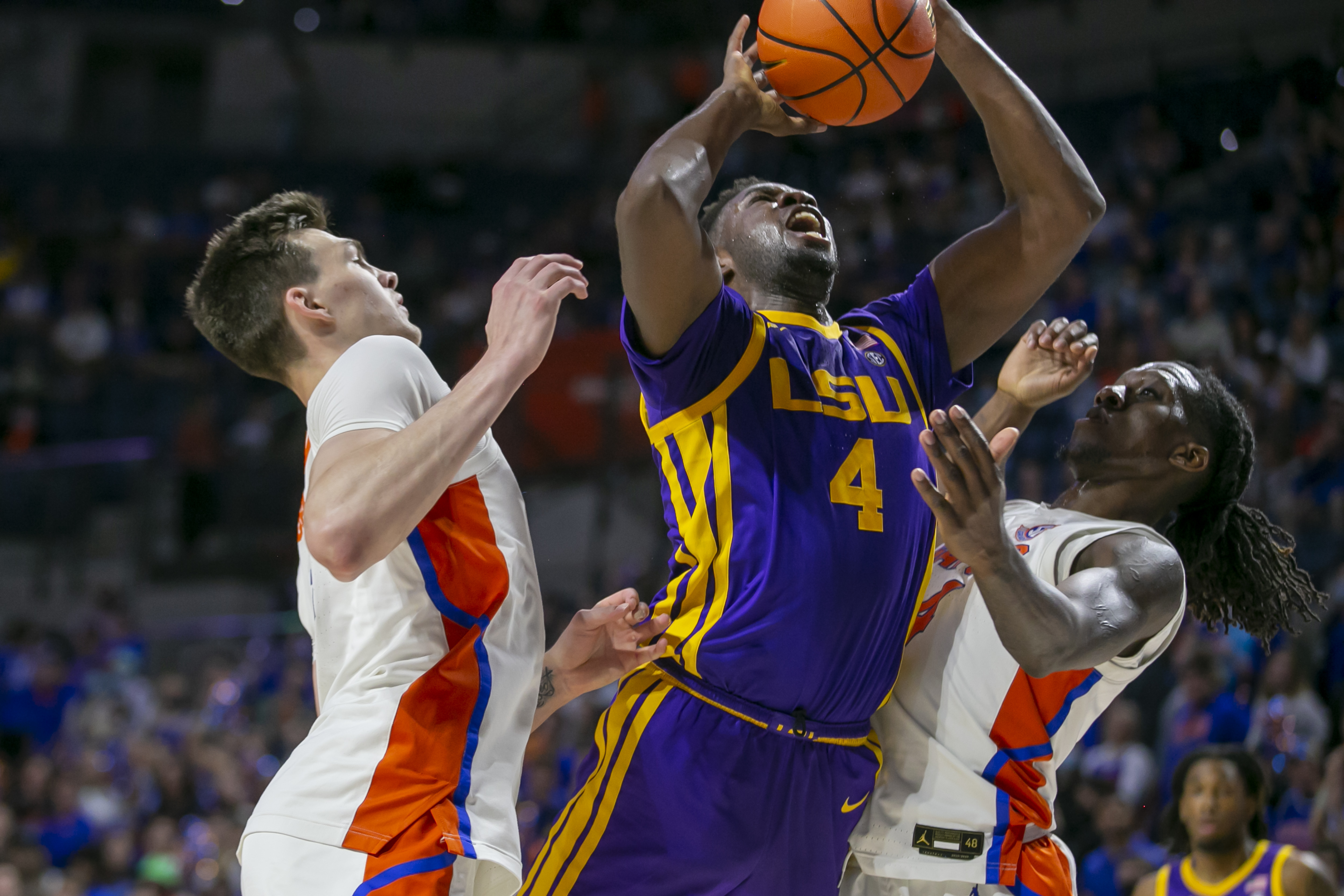 LSU Florida Basketball