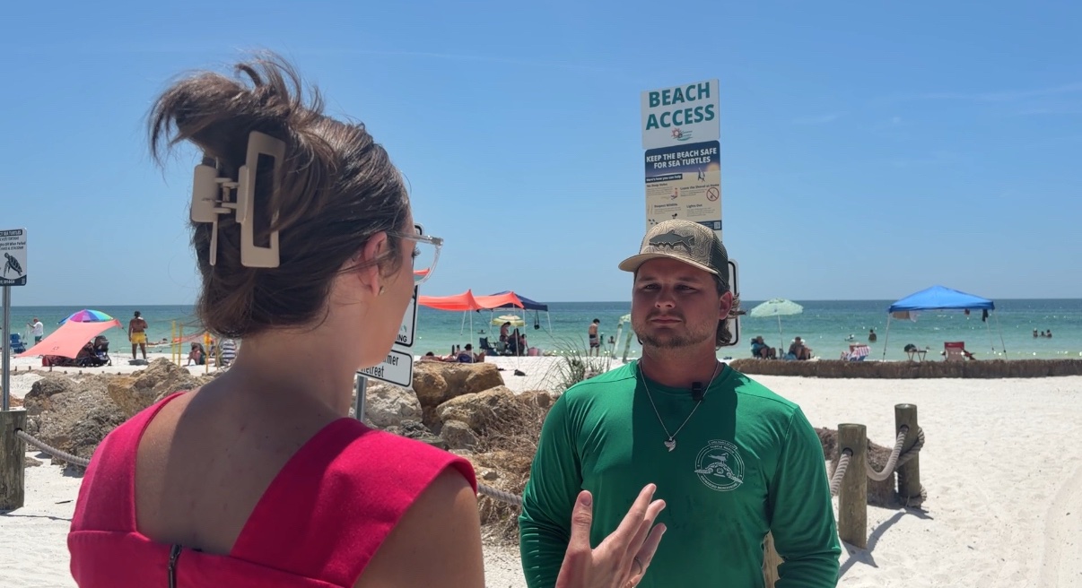 Simple lighting changes could save turtle hatchlings on Anna Maria Island.jpg