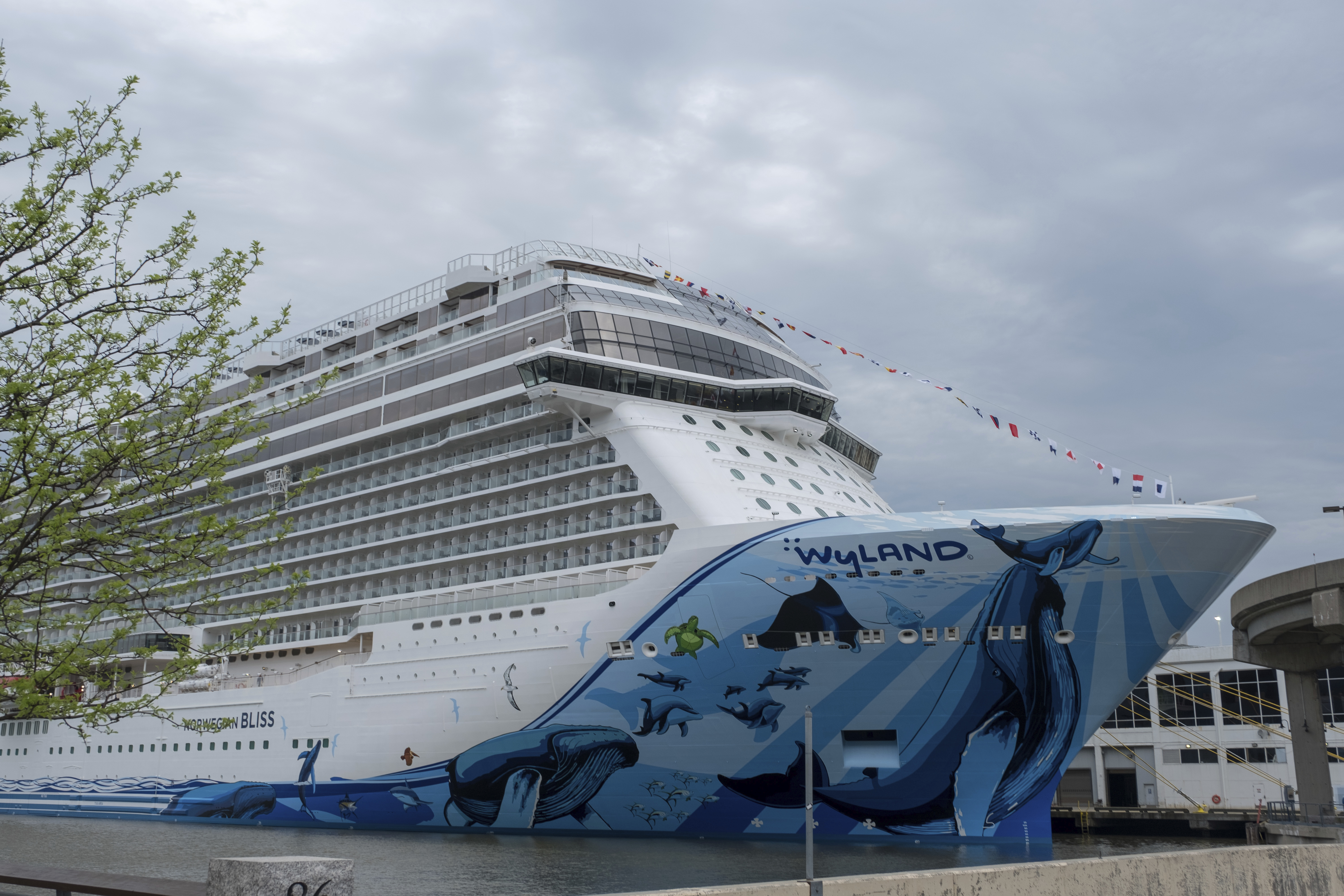 Norwegian extending suspension of 2020 cruises due to COVID-19 concerns