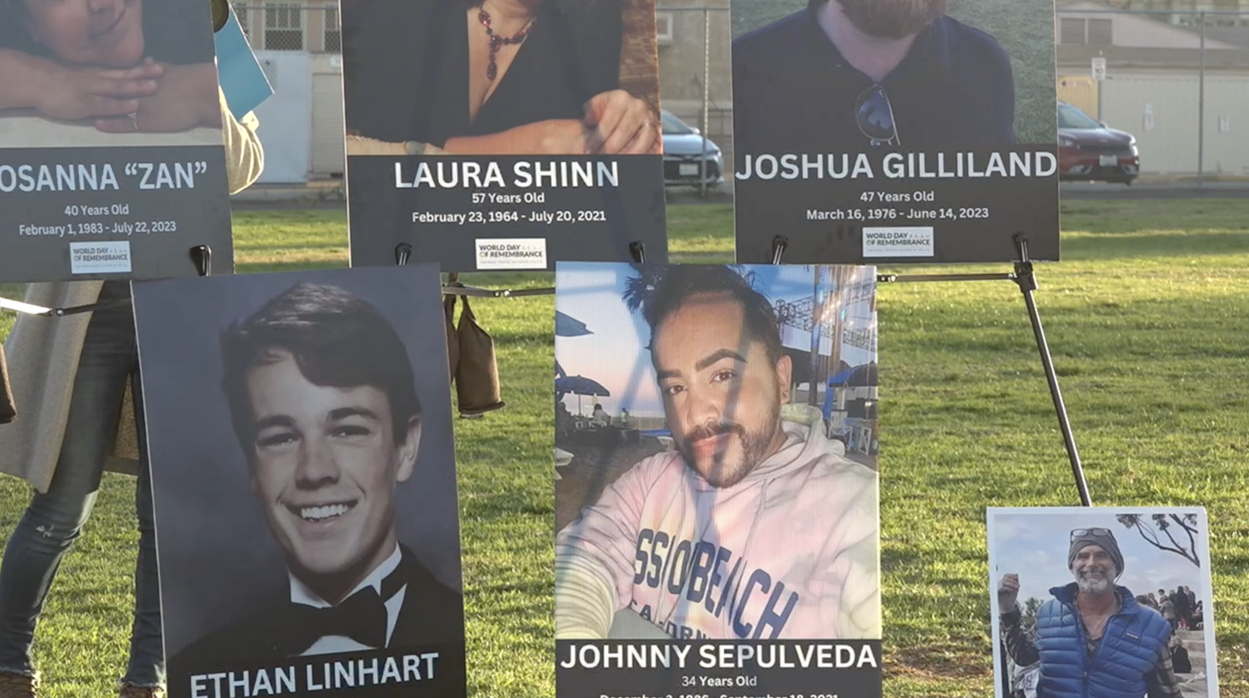 Photos of lives lost due to traffic violence.