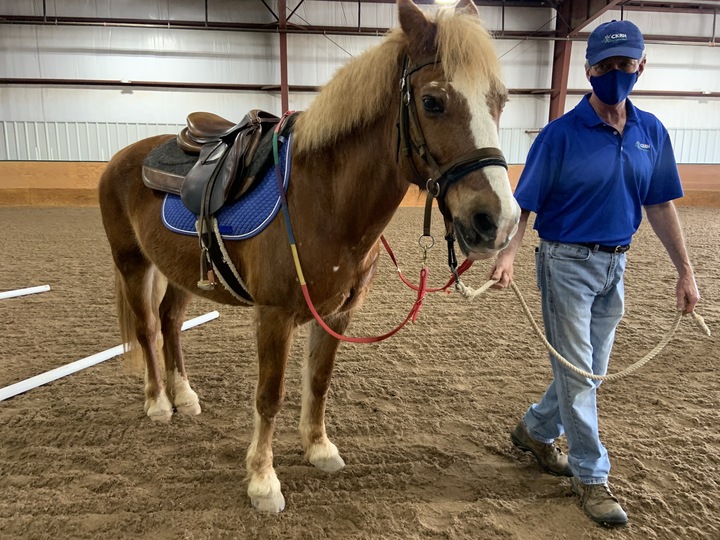 hope horse park.jpg