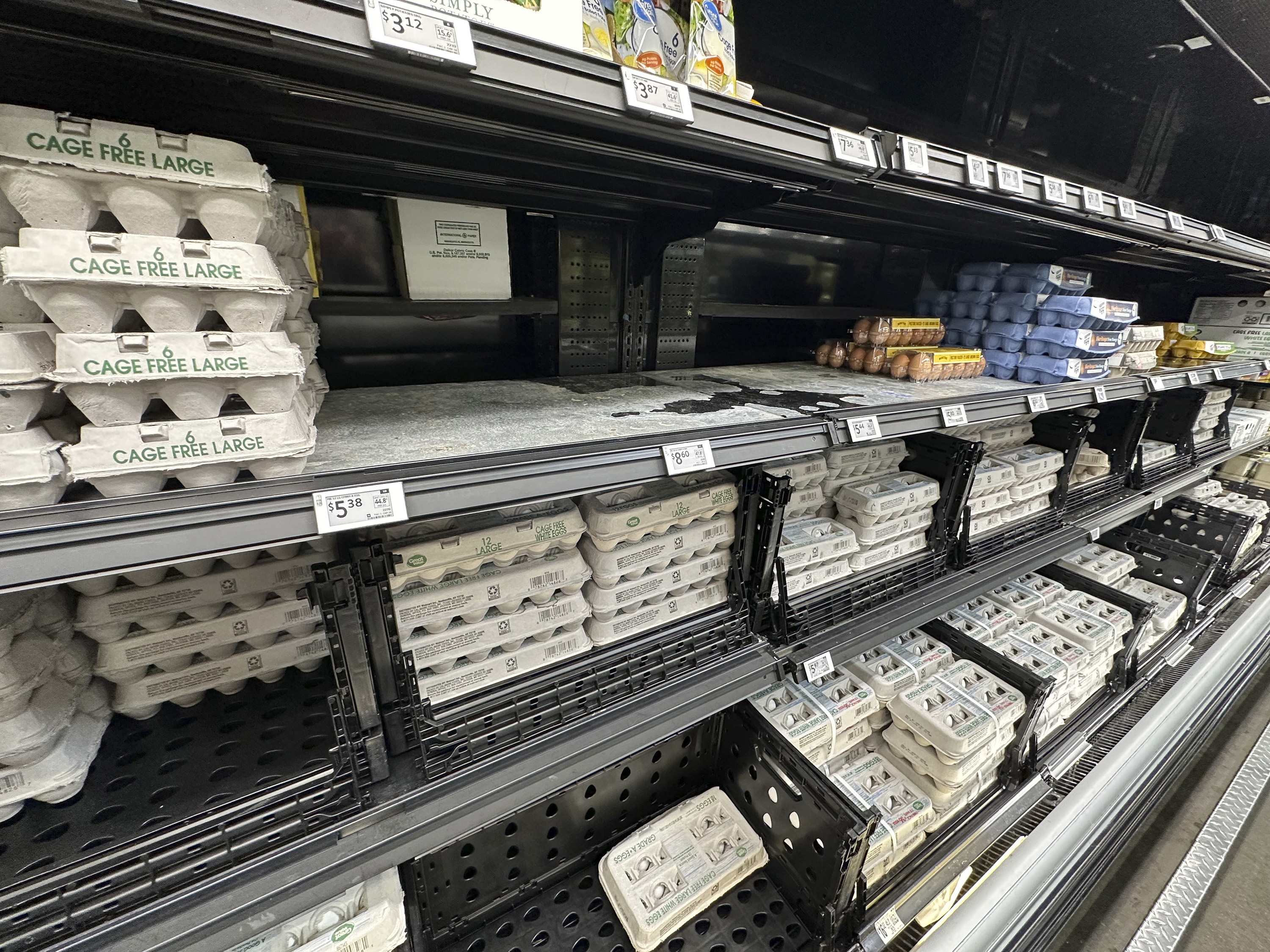 Egg Prices 