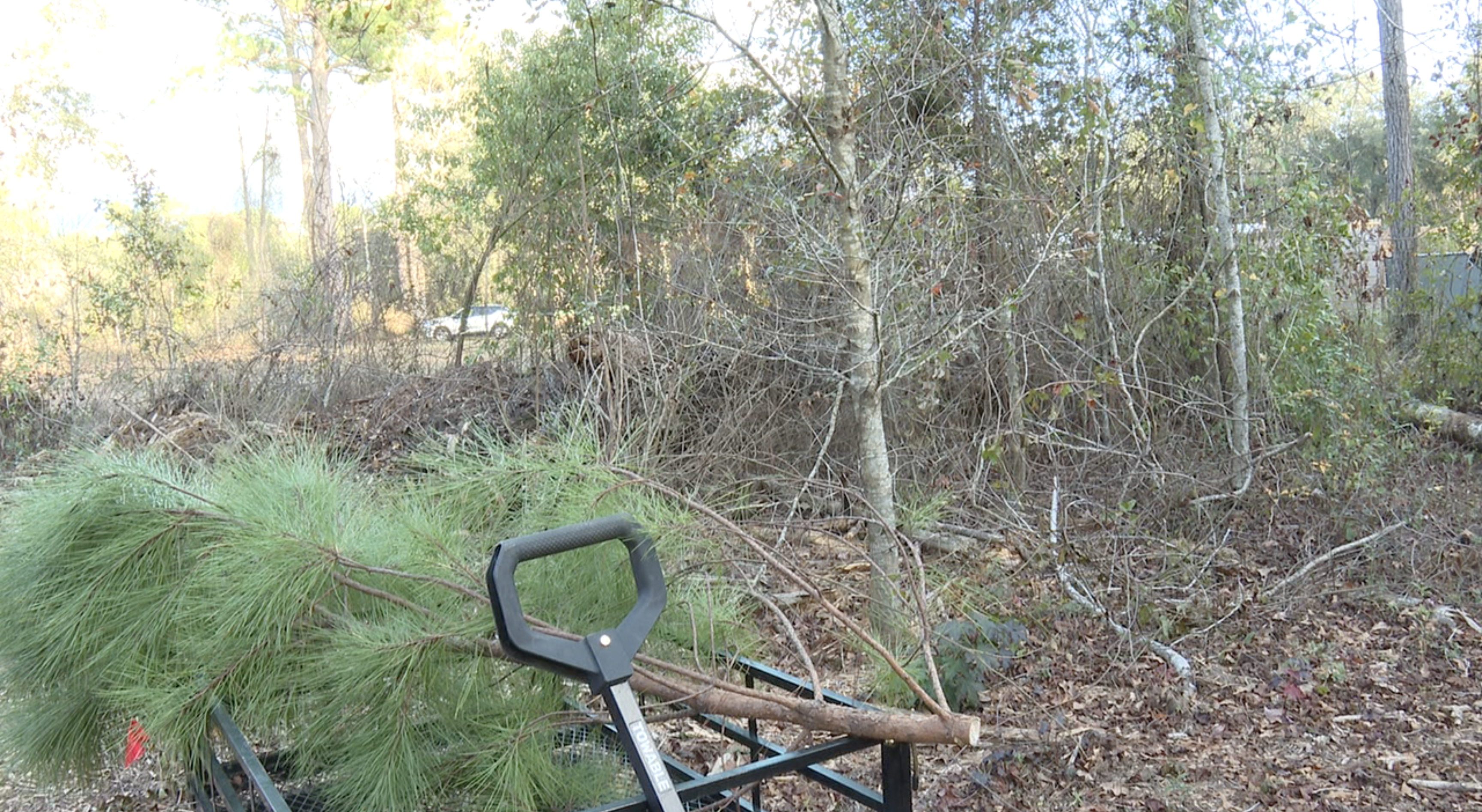 North Florida Wildlife Center