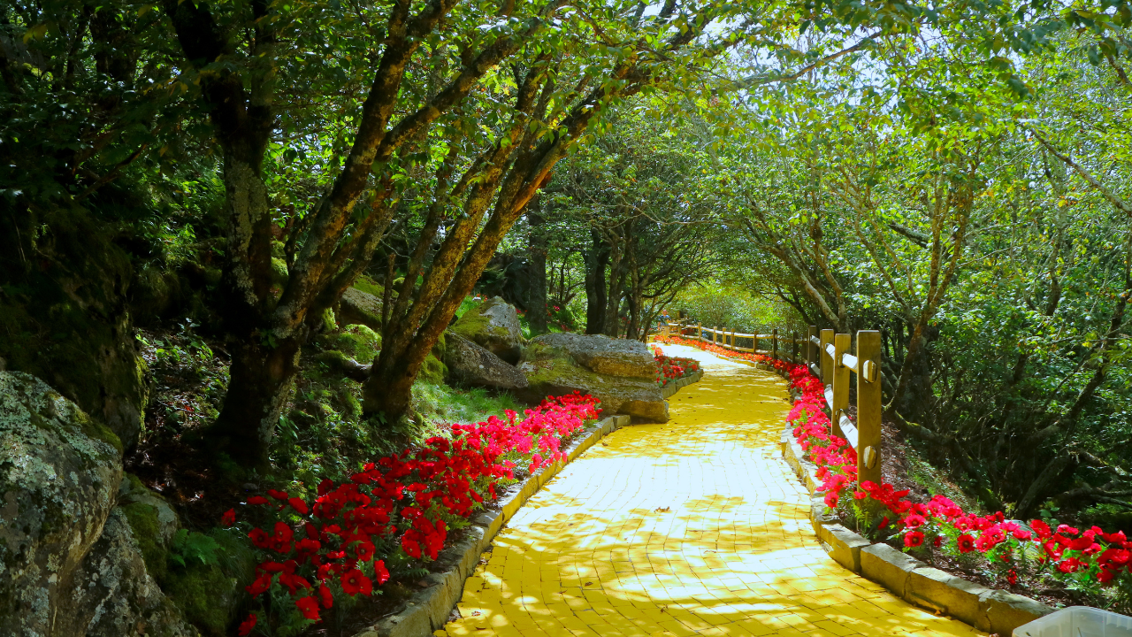 SCOTT Yellow Brick Road.png