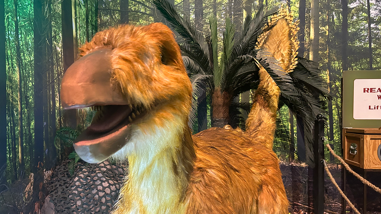 Dino Safari runs at the Cox Science Center and Aquarium. 