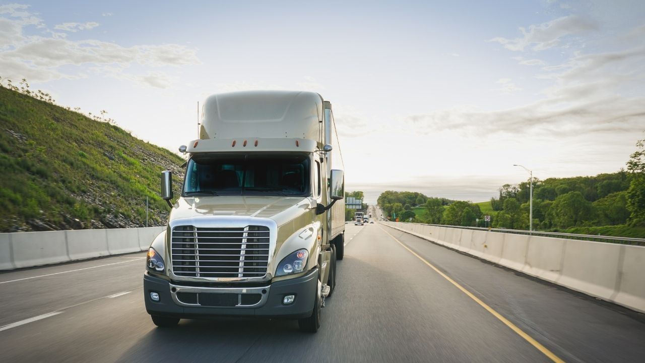 Standard - 2026-01-14T074324.213.jpg