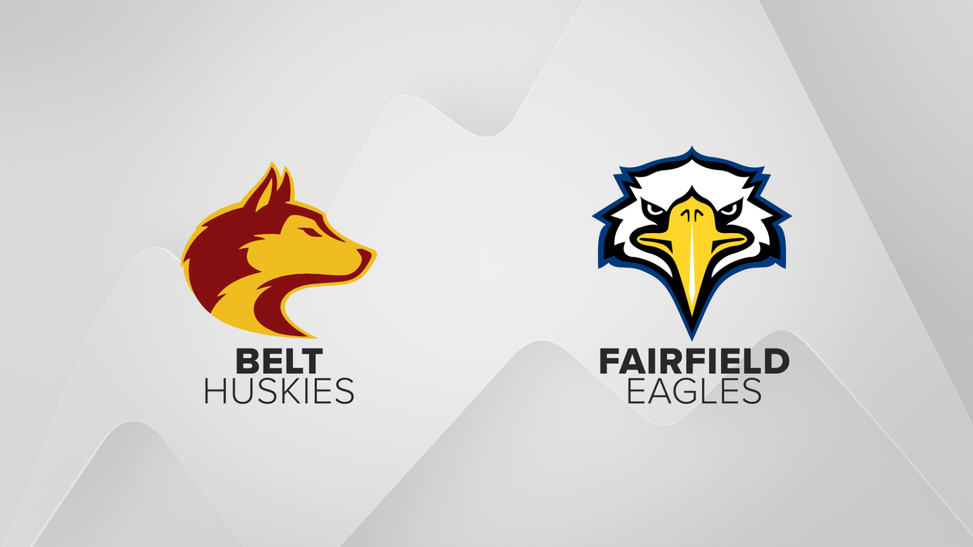 HM Sports Belt Fairfield.png