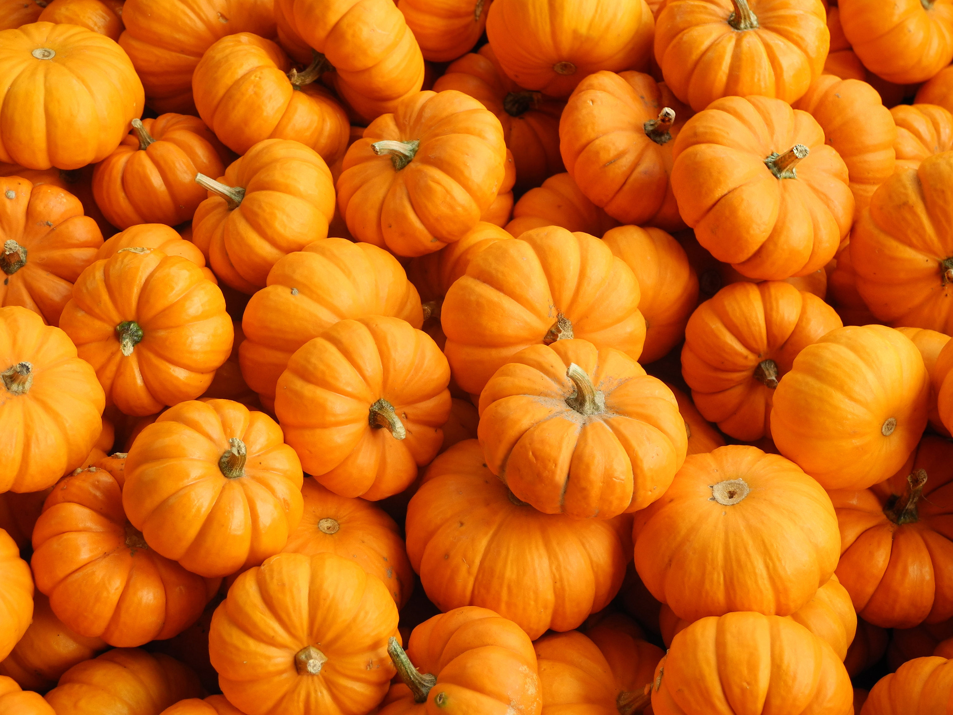 Pumpkins