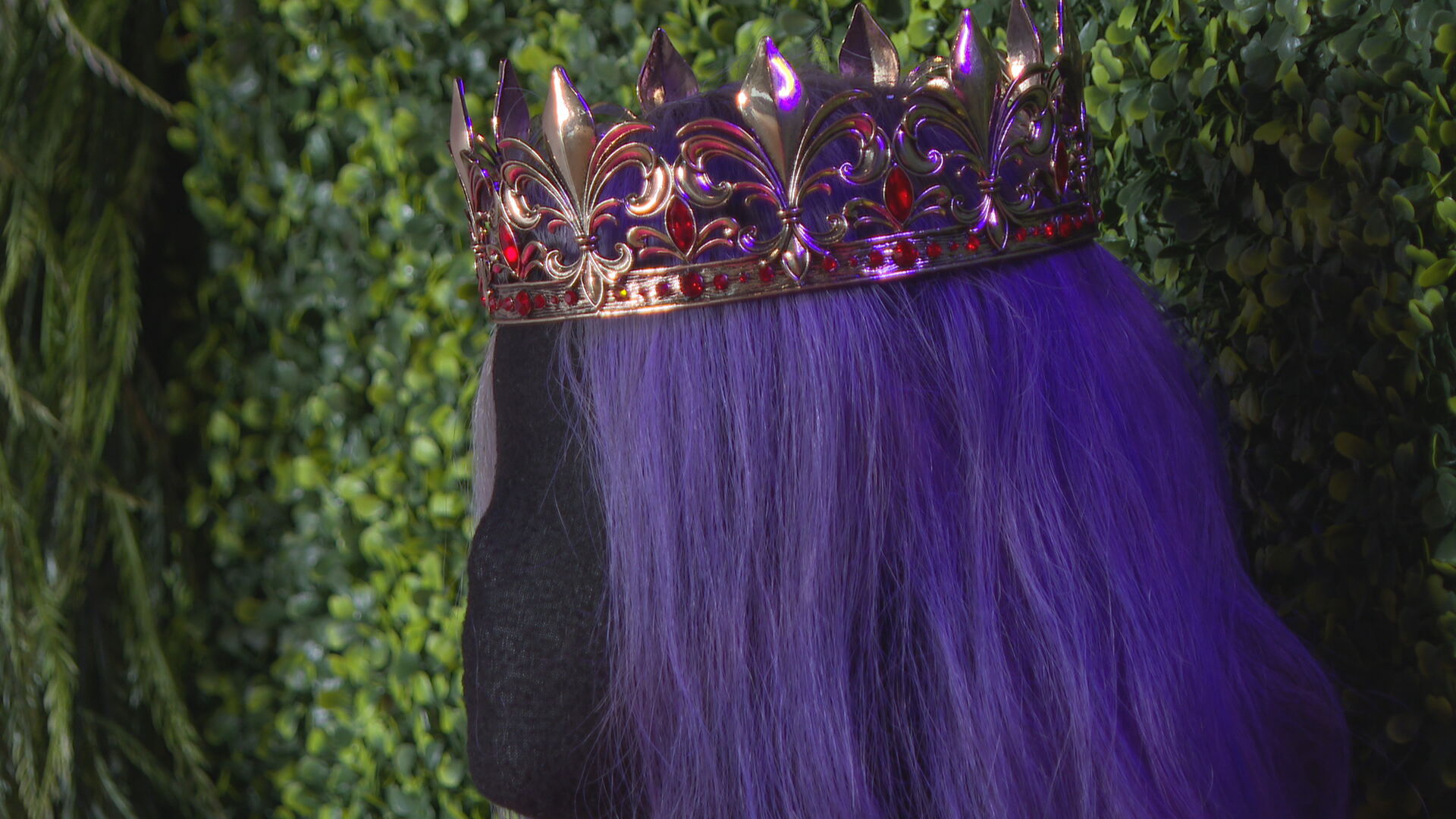 Select your crown PKG_frame_1555.jpeg