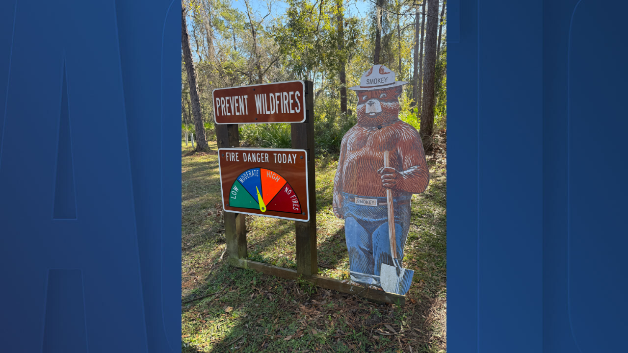 prevent wildfires.png