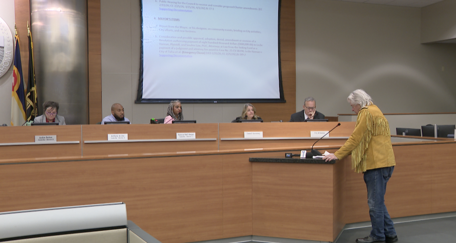 Brian Turner addressing council