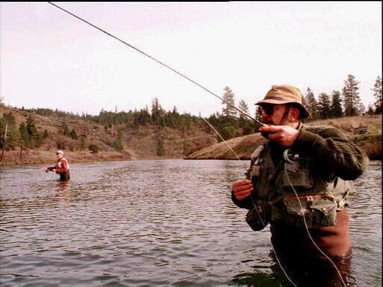 Fly fisherman