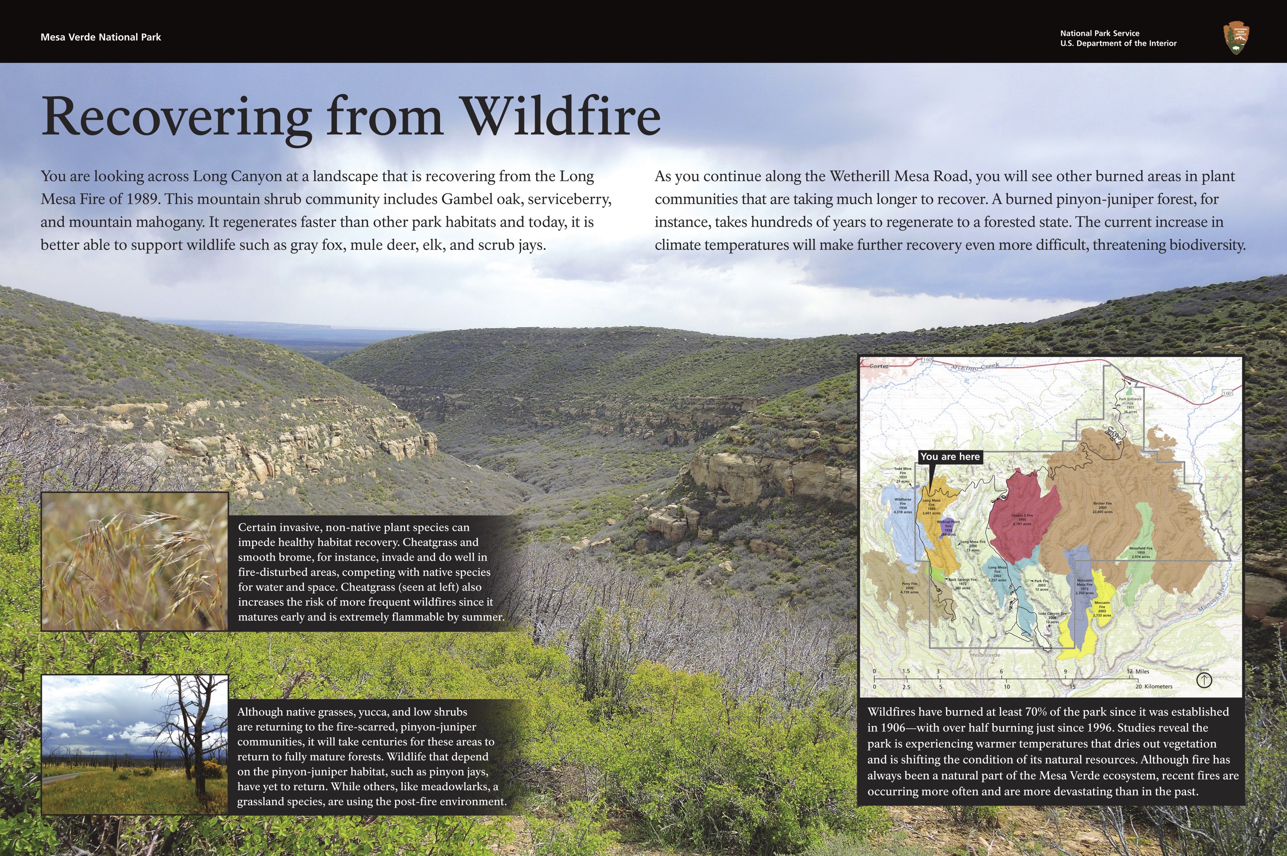 MEVE-601_Mesa Recovers From Fire_03-30-21.jpg