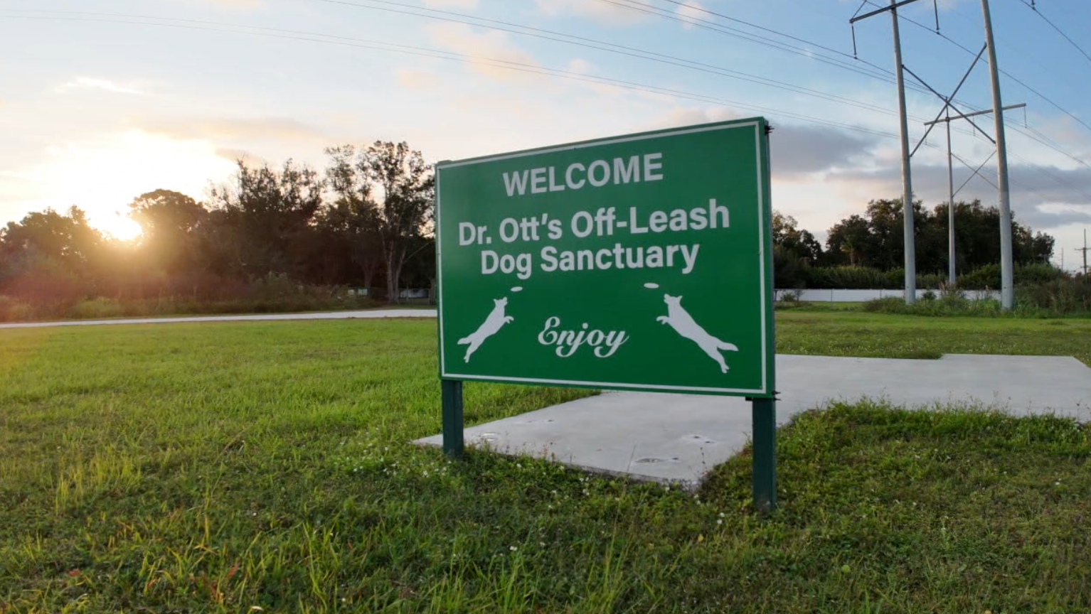 Free dog sanctuary brings Ruskin community together for over 20 years