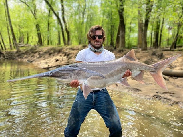 paddlefish.jpeg