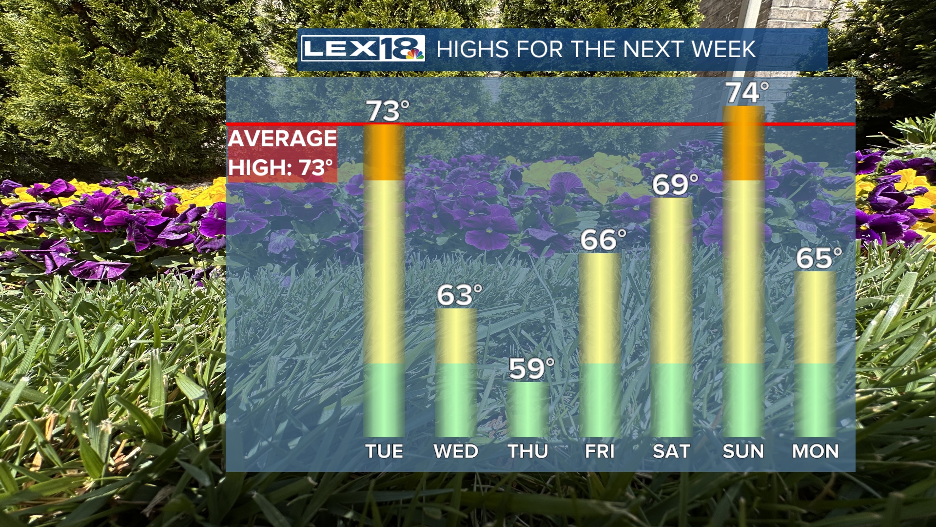 54highs.jpeg