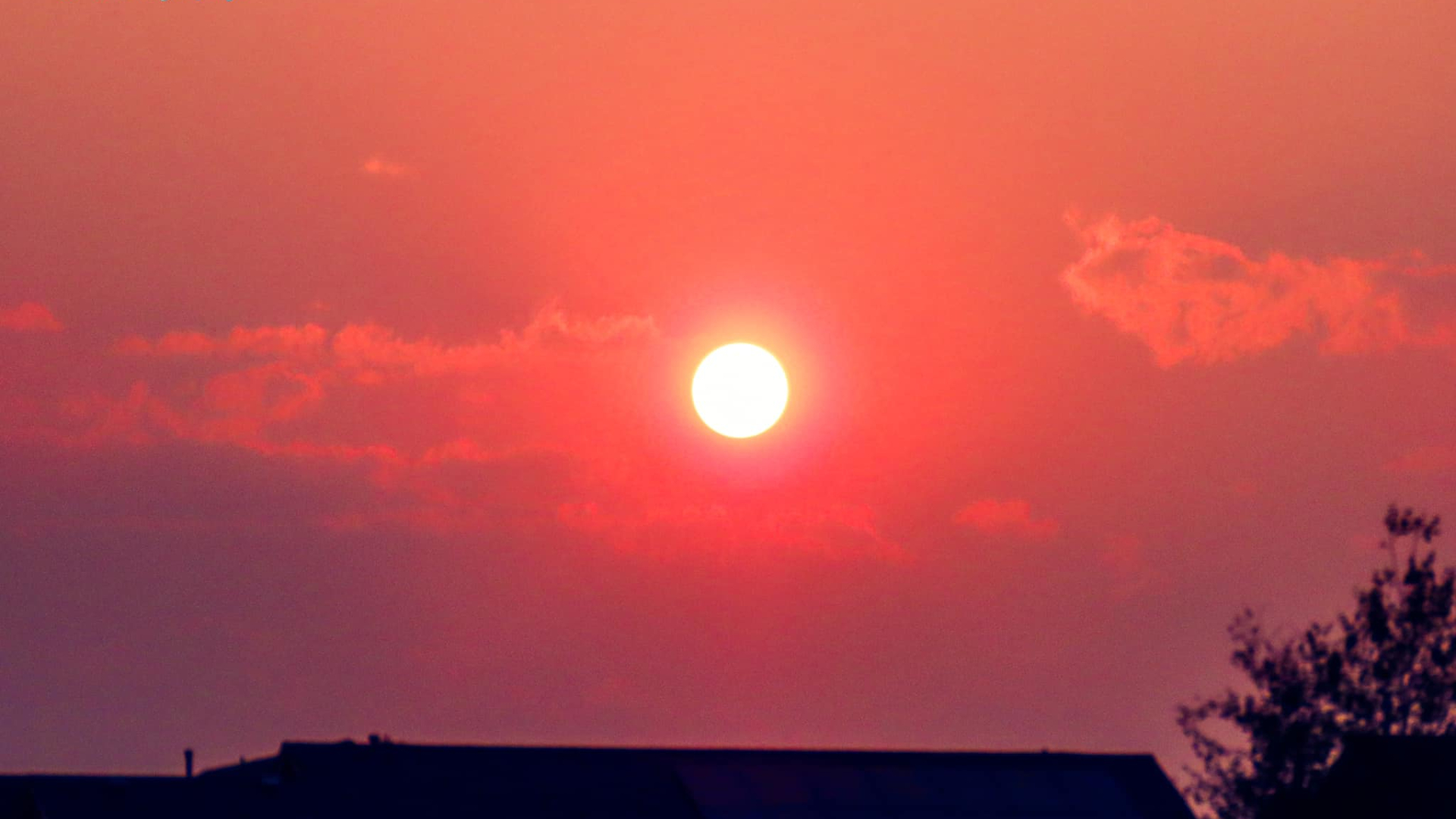 Smoky Falcon sunset