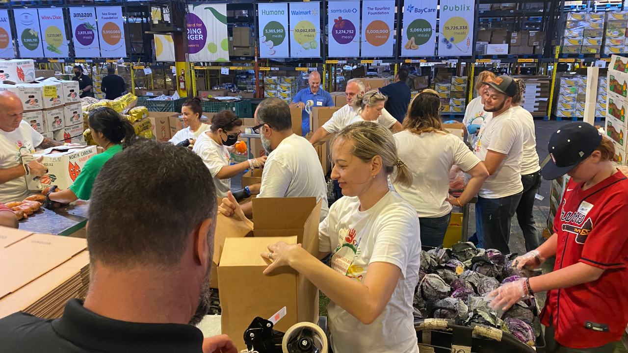 Feeding Tampa Bay 3.png