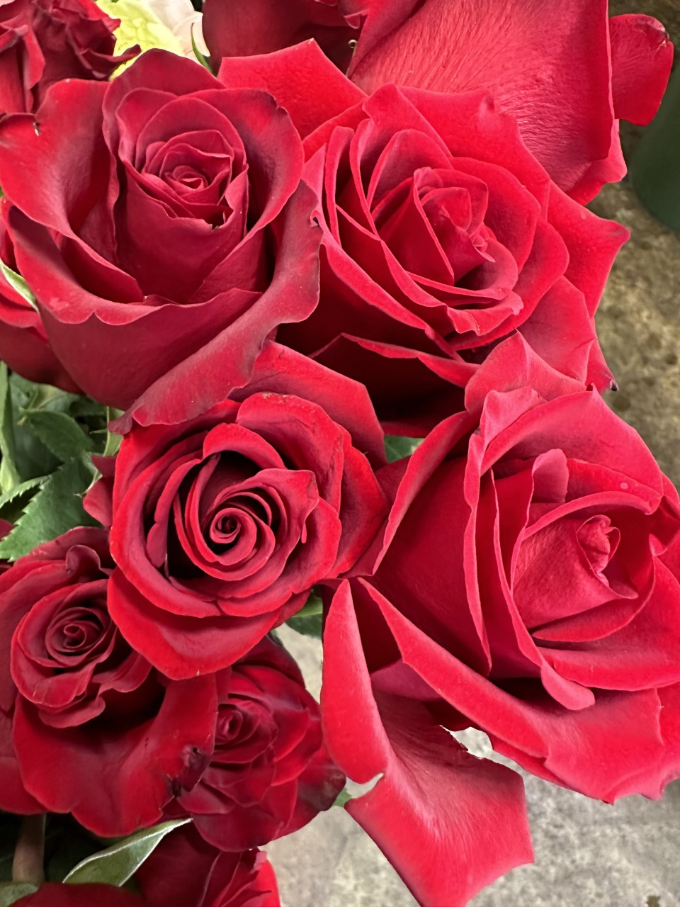Flowers.jpeg