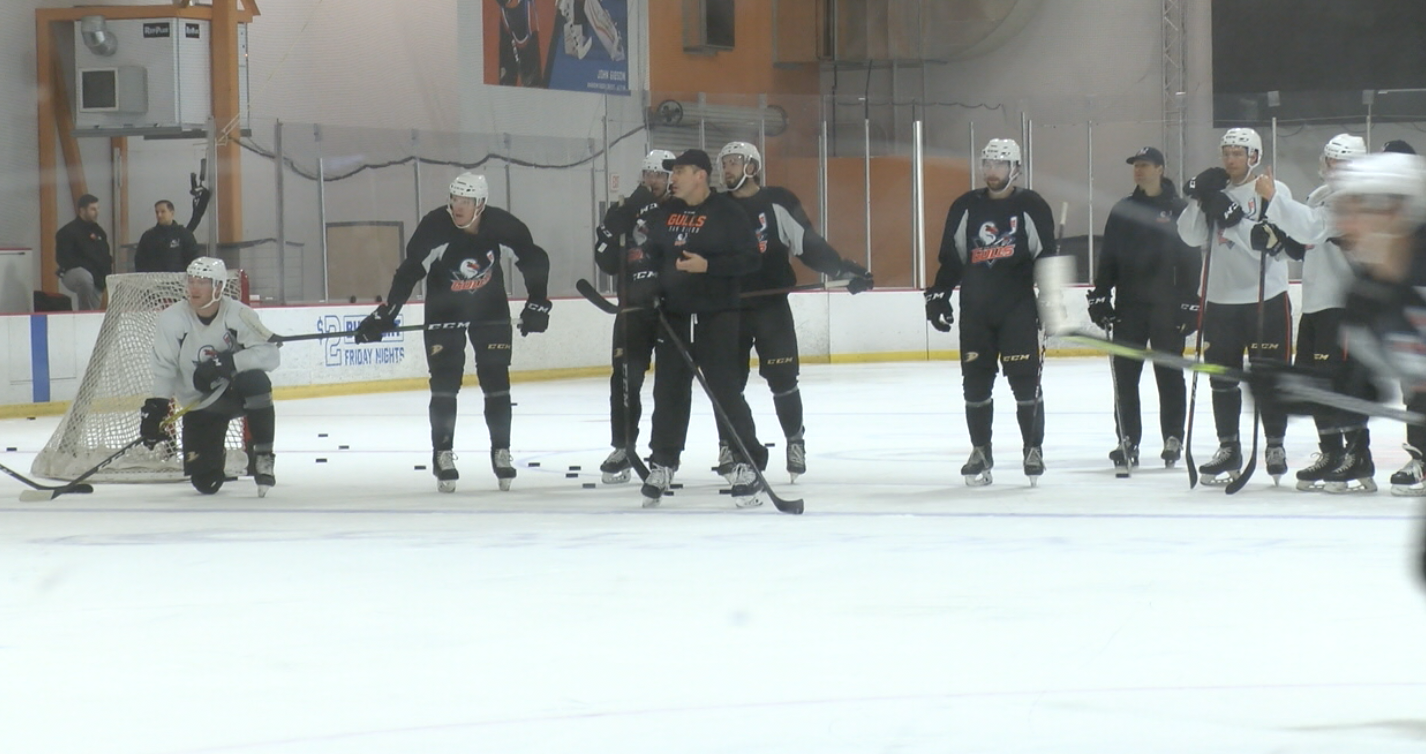 gulls practice.png