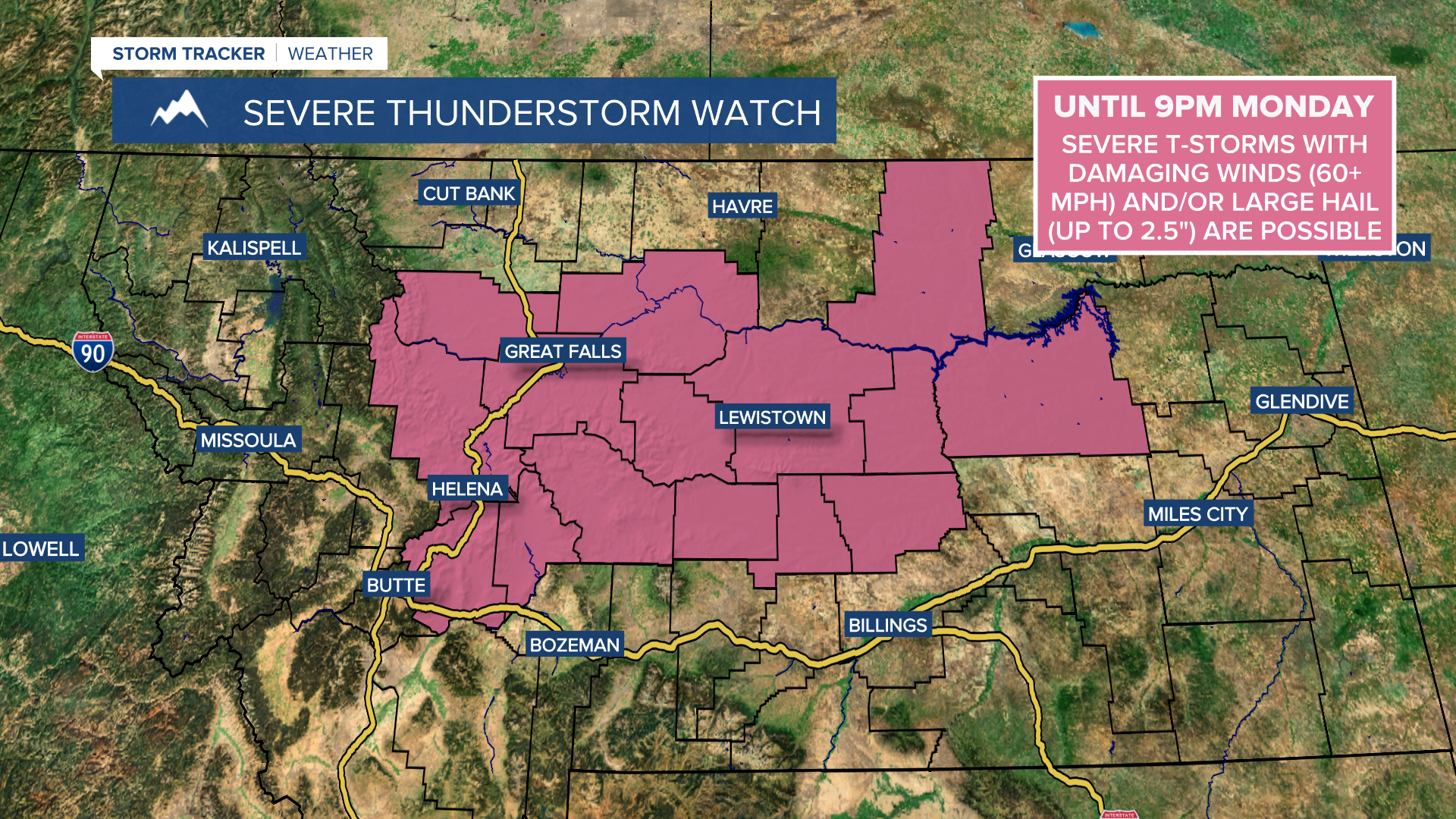 Severe Thunderstorm Watch