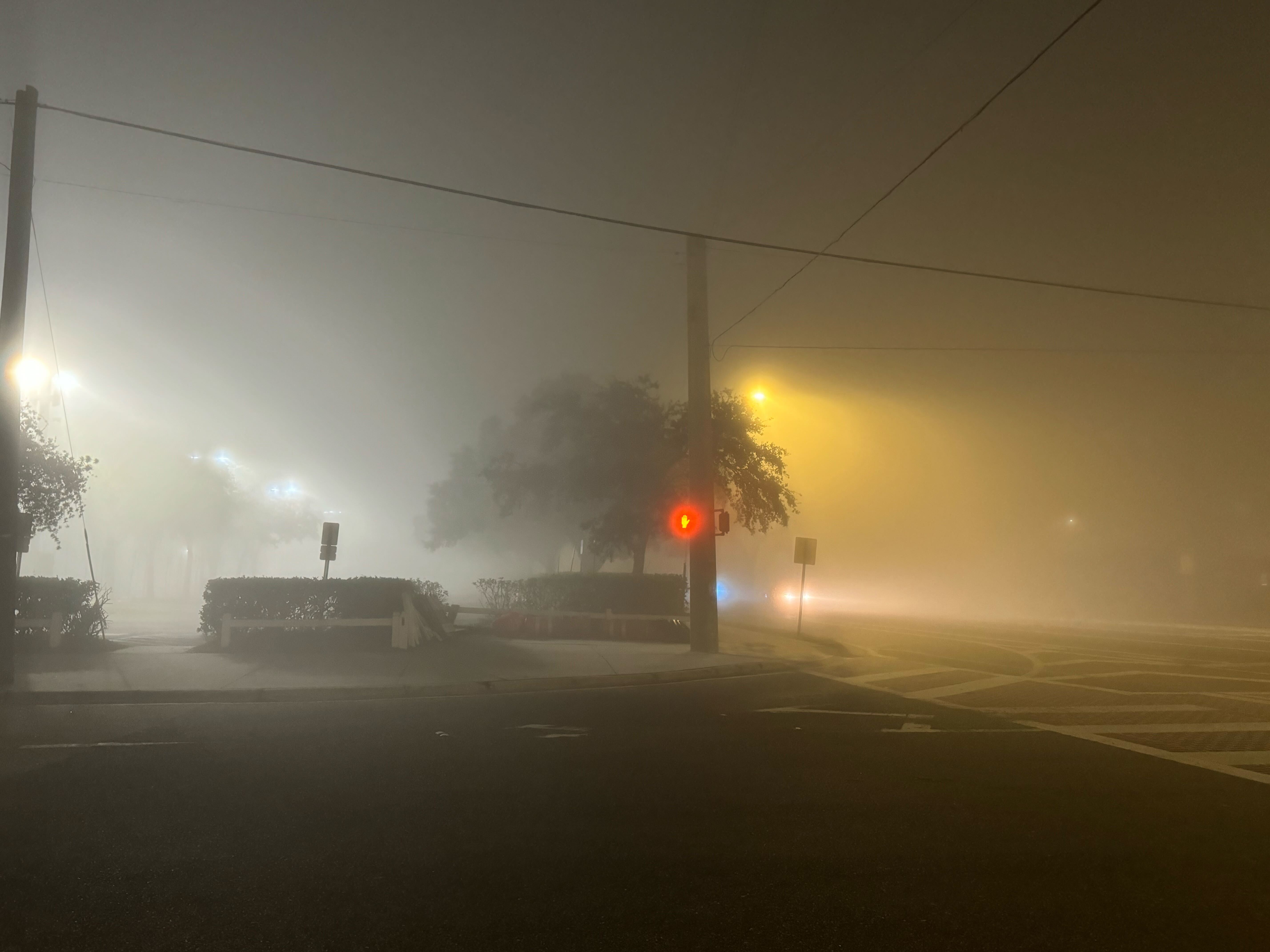 Fog Tampa