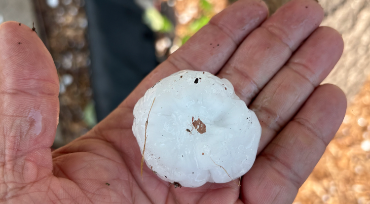"Largest hail I've ever seen" downtown-goers react to Tuesday's damaging hail storm in Colorado Springs