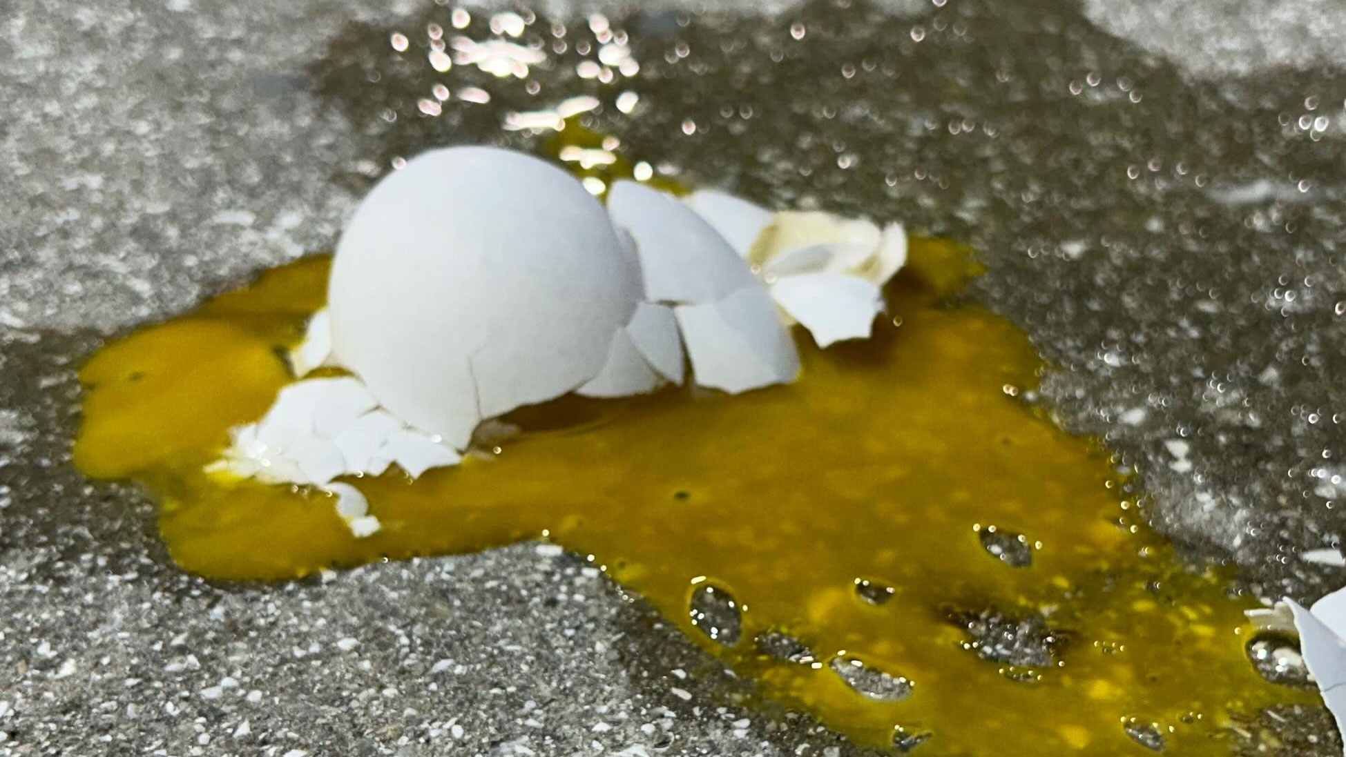 Cracked egg