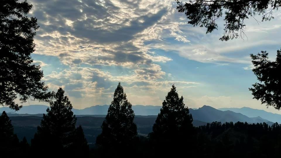 Carol Jean Brantner Woodland Park