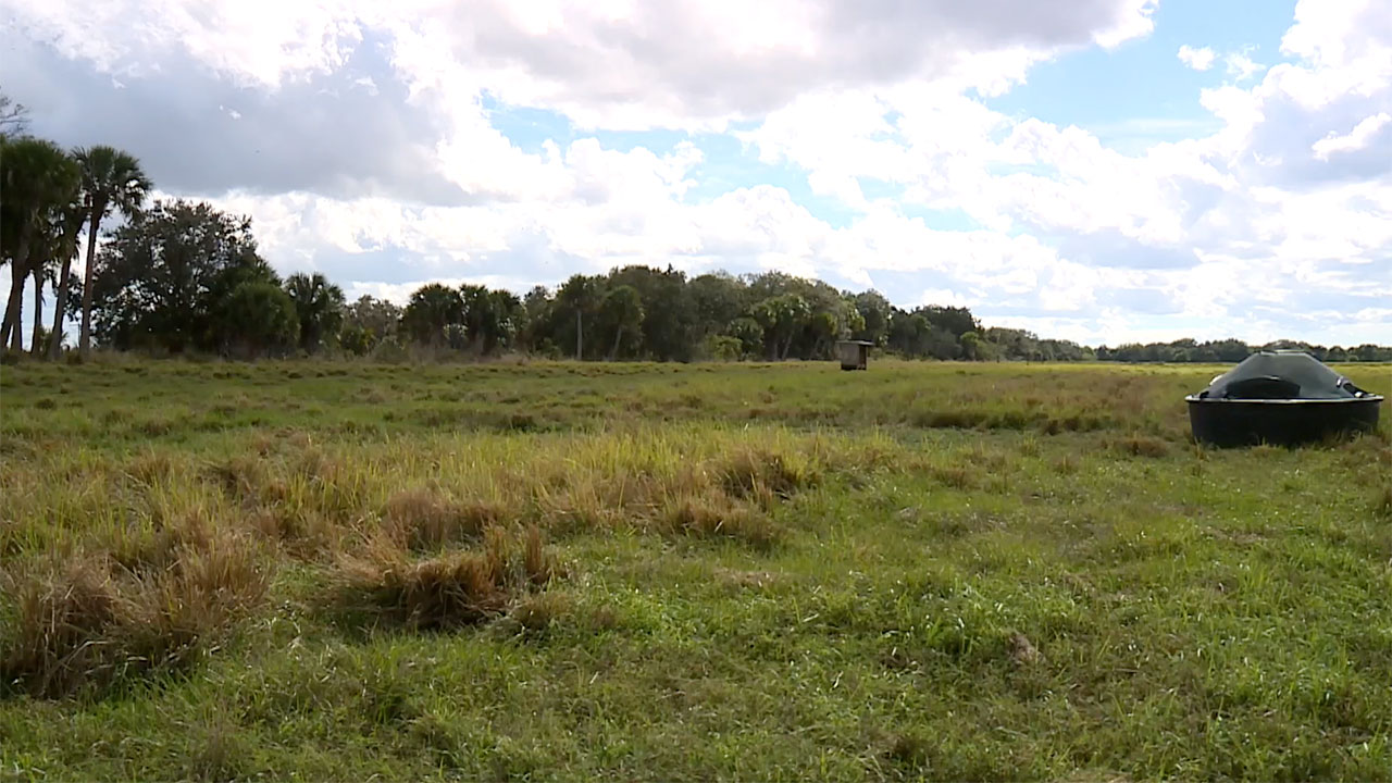 The St. Lucie County project, known as the "Sentinel Grove Technology Park," has faced significant pushback from some residents. The proposed development would span nearly 15 million square feet across a 1,200-acre parcel, featuring multiple buildings around 60 feet tall.