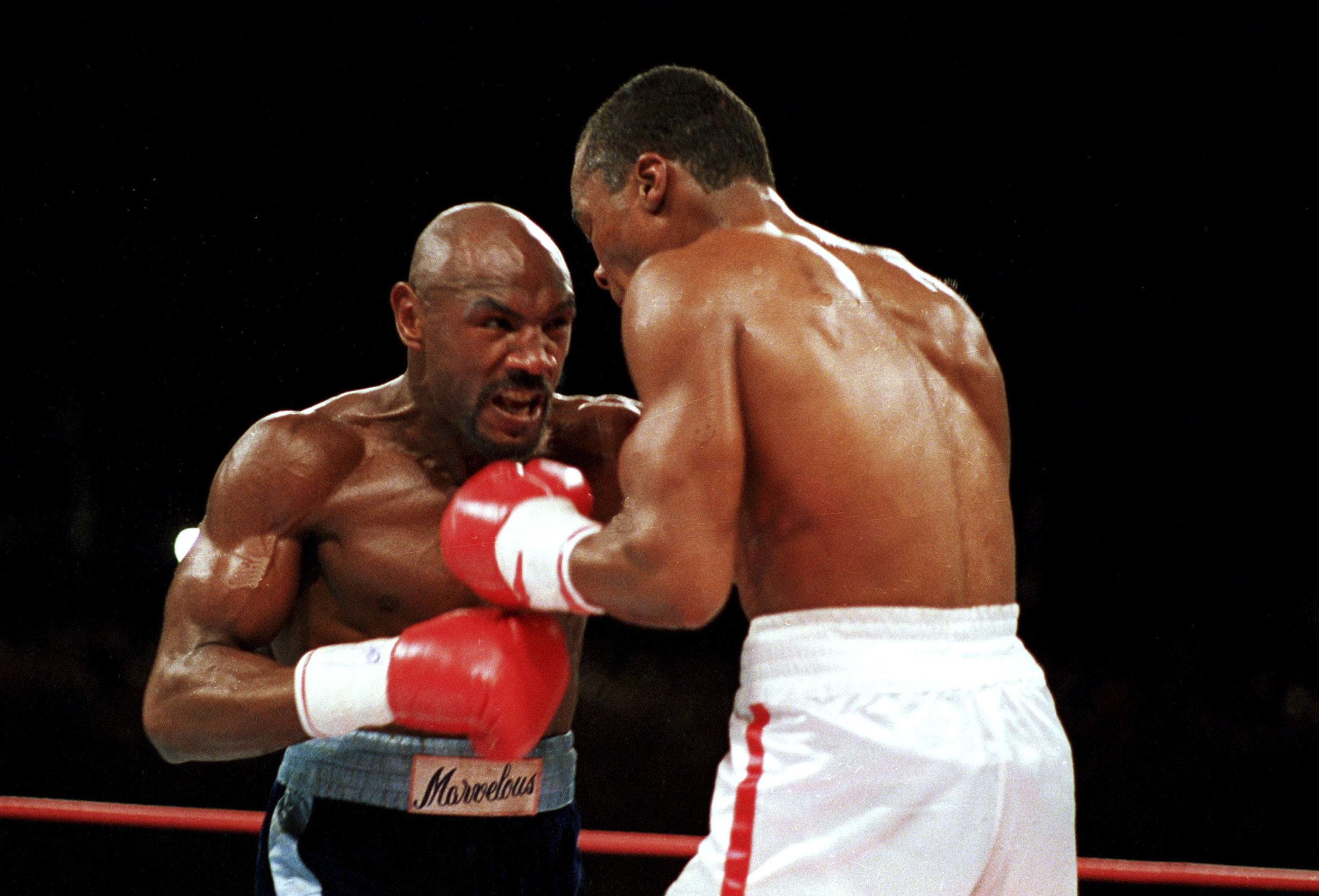 Hagler Leonard