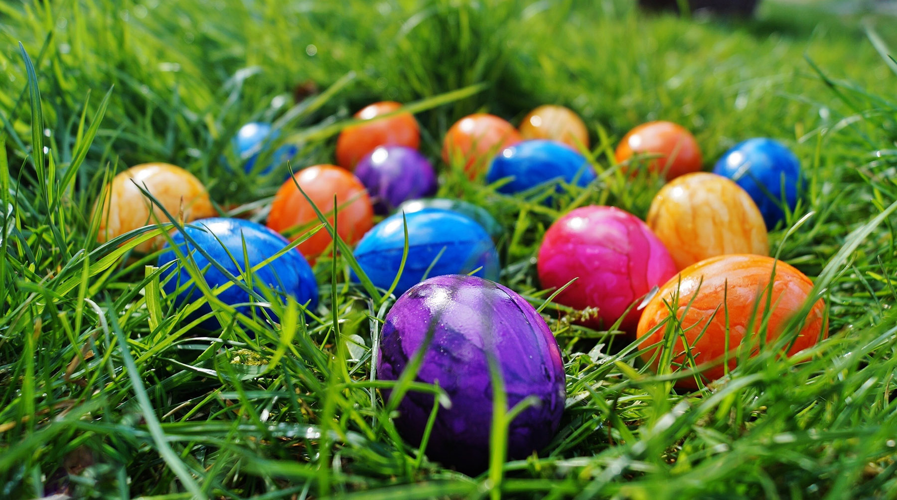 Free painted eggs image, public domain Easter CC0 photo.

More:

